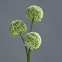 Kunststoff Allium Judi