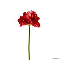 Kunststoff Amaryllis Bella