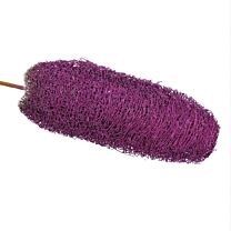 Luffa gestielt Frosted