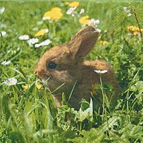 Osterserviette Hase auf Wiese