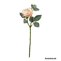 Kunststoff Rose Aurora