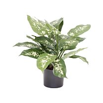 Kunststoff Baum Dieffenbachia