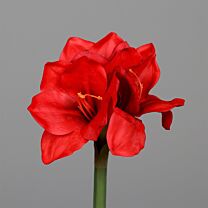 Kunststoff Amaryllis Ben