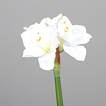 Kunststoff Amaryllis Ben