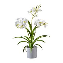 Kunststoff Orchidee Dendrobuim