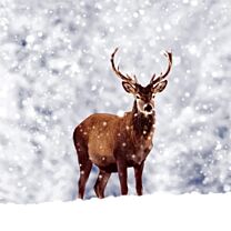 Weihnachtsserviette Hirsch im Schnee