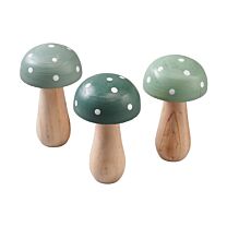 Holz Pilz Verde