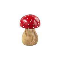 Holz Pilz Funghi