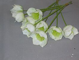 Kunststoff Christrose Flora (36 Stück)