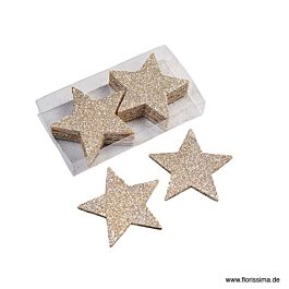 Plastik Stern Glitterstar (12 Stück)
