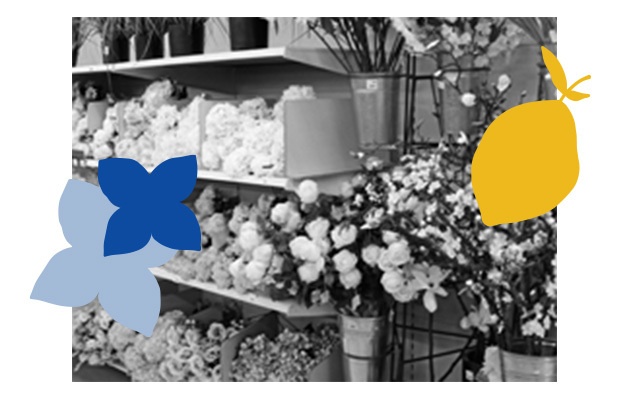 Nouveau site BZZ