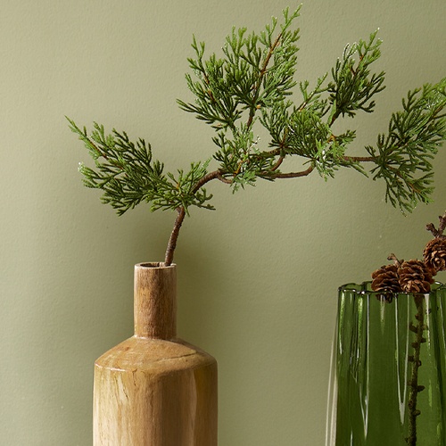 Branches