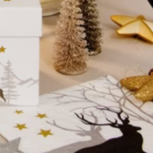 Cartes et serviettes de table