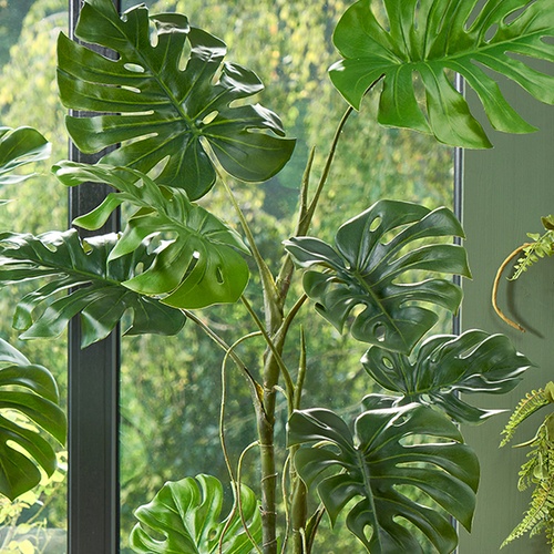 Plantes et arbres