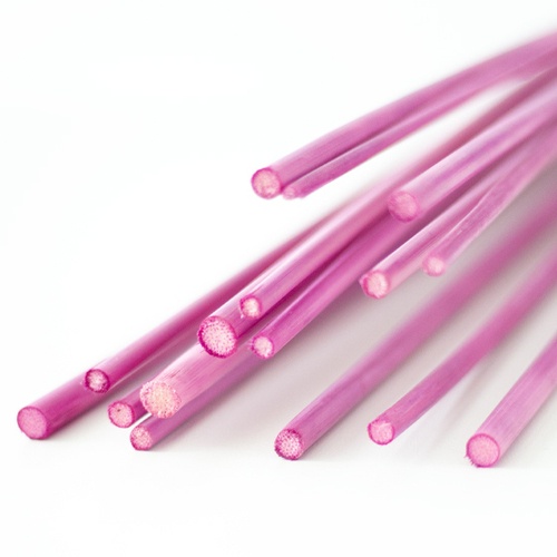 Wands