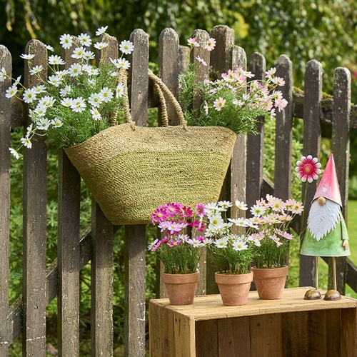 FLORISSIMA Katalog