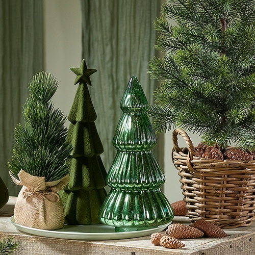 Fir Forest