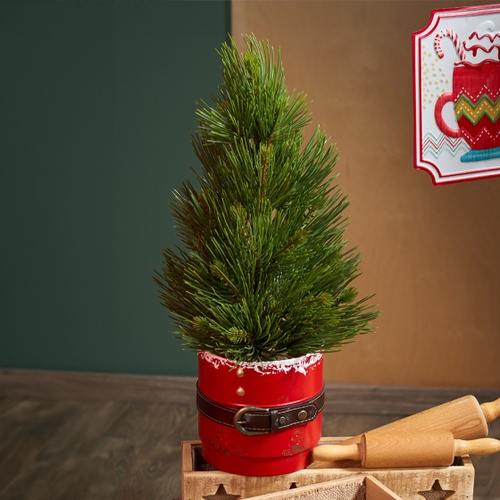 Sapins, plantes et brindilles