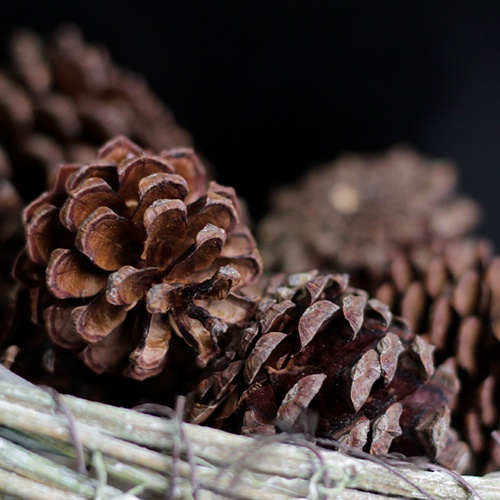 Cone