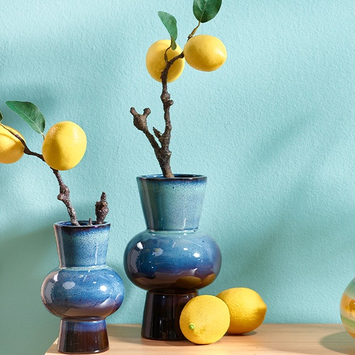 Baies et fruits