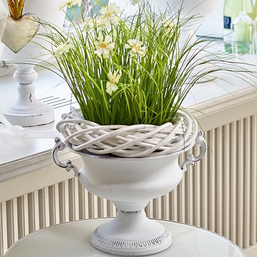 Cups & Goblets