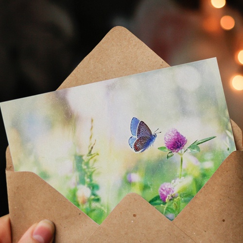 Paper goods