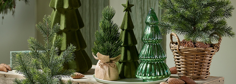 Fir Forest