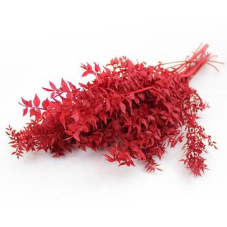 Ruskus