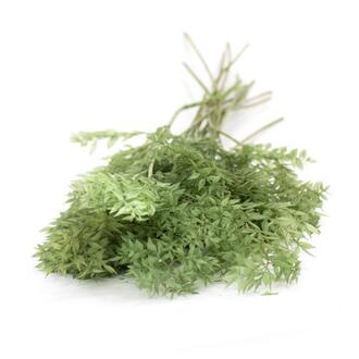 Ruskus