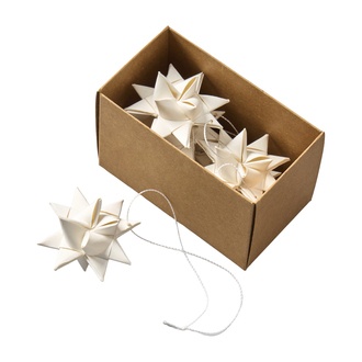 Paper star Fröbel