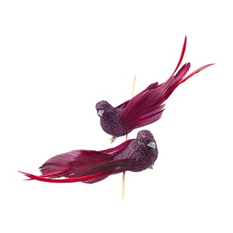 Feather Bird Glamour