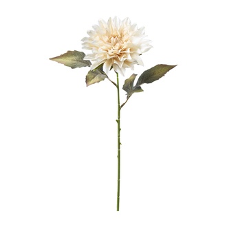 plastic Dahlia pick Ricky