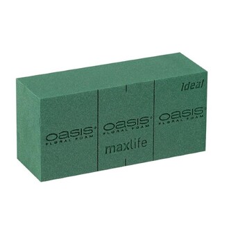 Oasis Ideal Euro Carton