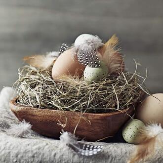 Easter Napkin Egg Nest