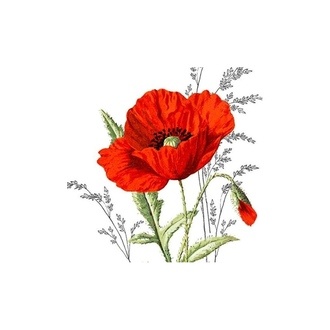 Serviette Mohn