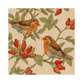 Napkin Robin On Rosehip Branch/By Nature