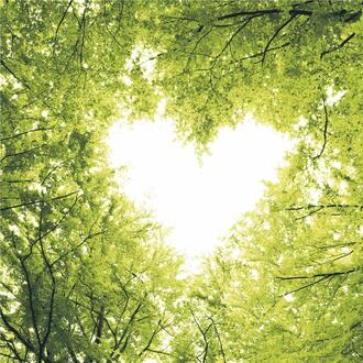Napkin Nature Love/Heart