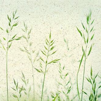 Serviette Sommerbrise/Gräser