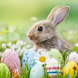 Easter Napkin Easter Morning