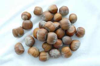Natural Hazelnut
