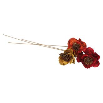 Montierte Blüte Jacaranda