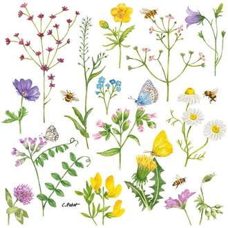 Napkin Meadow Flowers/Cornflower