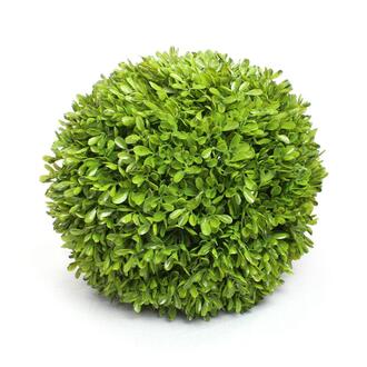 Plastic Boxwood Ball Box