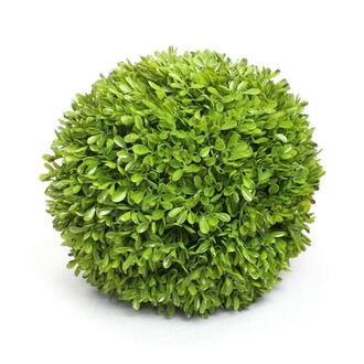 Plastic Boxwood Ball Box