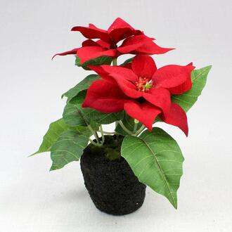 Plante de Poinsettia en Plastique