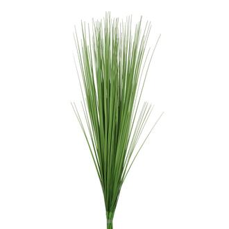 Kunststoff Isolepsis Rachel