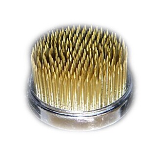 Blumenigel