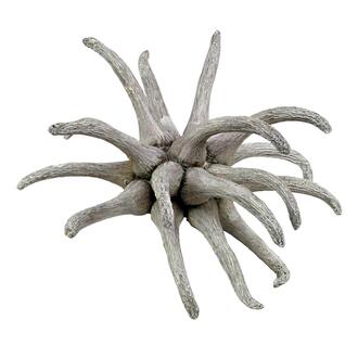 Griffe de Gomme Araignée