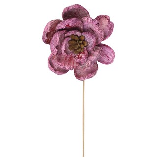 Fleur Montée Pradeep Flower