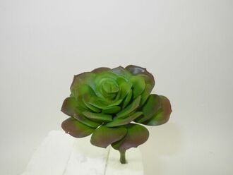 Plastic Echeveria Sion
